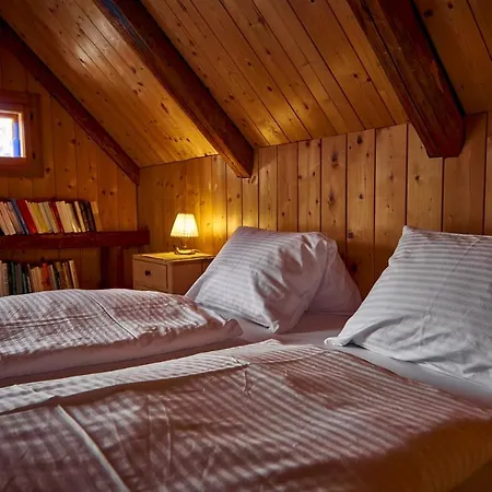 Chalet Pucher