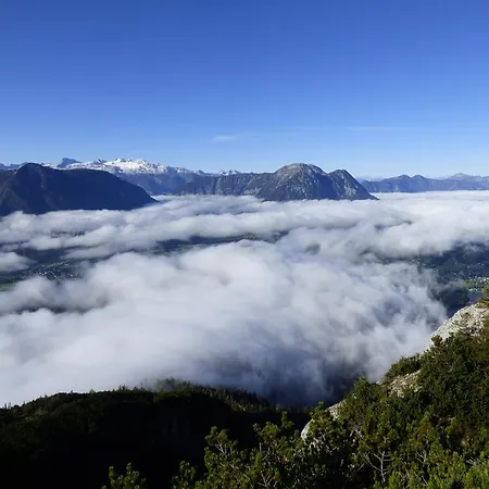 Domek alpejski Pucher *